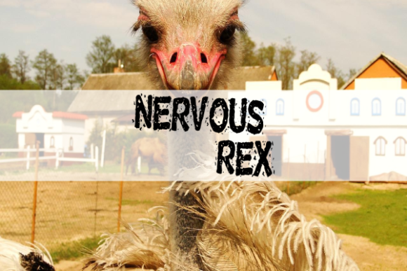 Exploring the Bold and Playful Design of Nervous Rex
